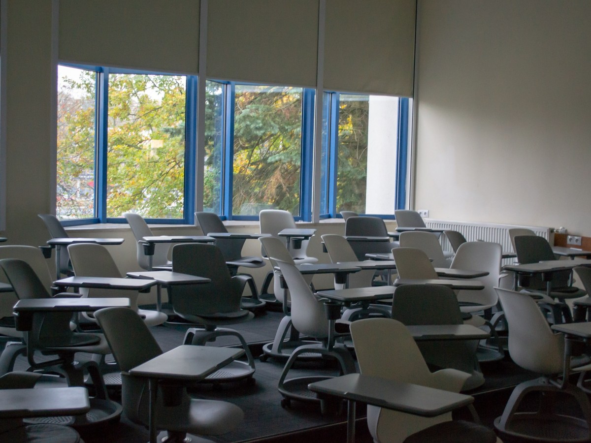 The Instagrammatology of the Neoliberal University