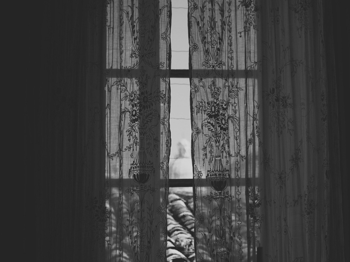 The Speechless Revolution