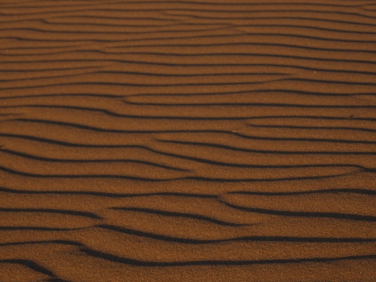 Ghazal for Things Withdrawn