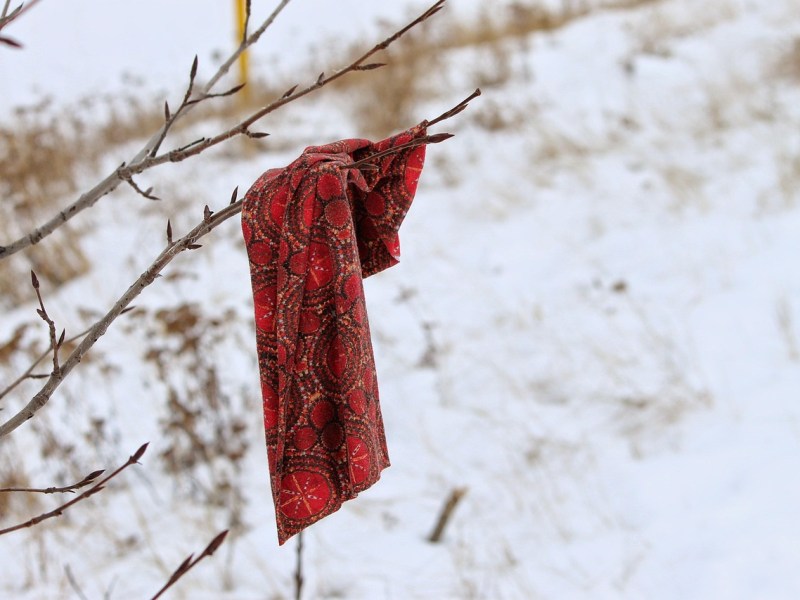 Ghazal for Forgotten Things