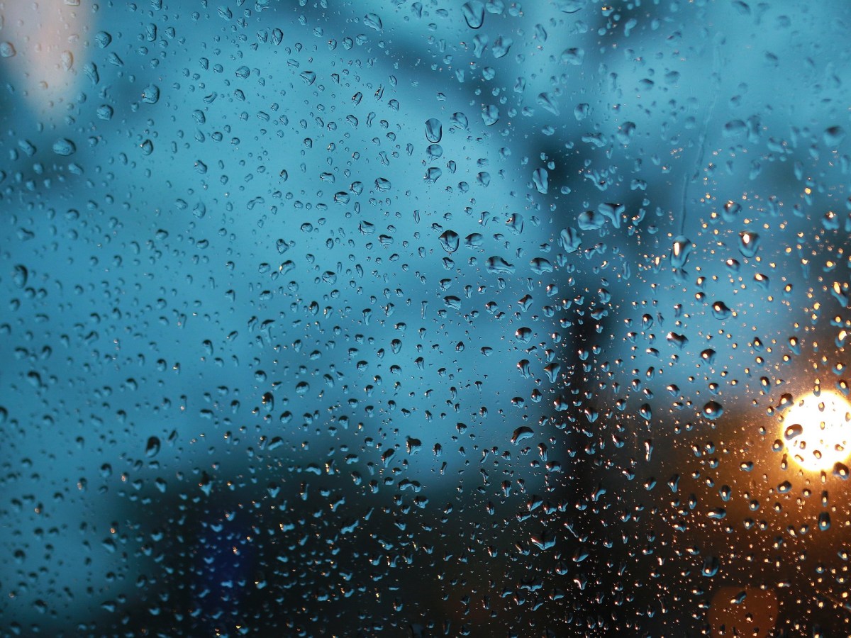 Ghazal for Things that See Through