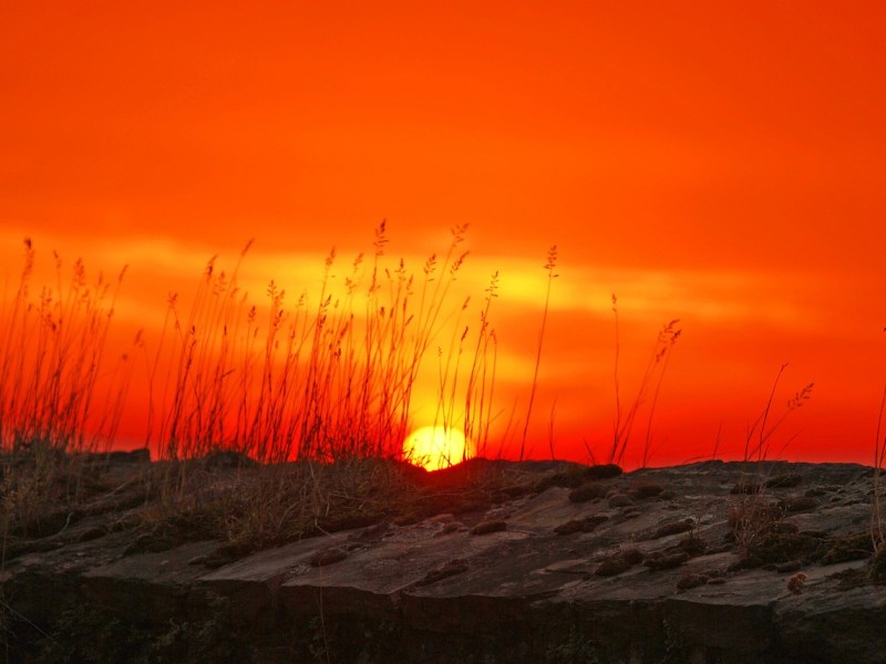 Gild Them in the Pyre